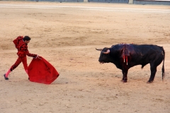 Tauromaquia-Matador-Gallery50