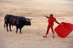 Tauromaquia-Matador-Gallery51