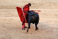 Tauromaquia-Matador-Gallery52