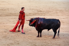 Tauromaquia-Matador-Gallery53