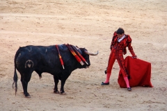 Tauromaquia-Matador-Gallery54