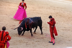 Tauromaquia-Matador-Gallery55