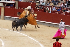 Tauromaquia-Picadores-Gallery02