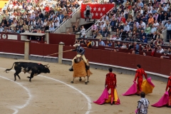 Tauromaquia-Picadores-Gallery04