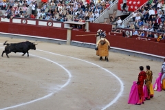 Tauromaquia-Picadores-Gallery09