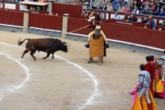 Tauromaquia-Picadores-Gallery10