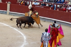 Tauromaquia-Picadores-Gallery11
