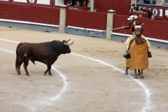 Tauromaquia-Picadores-Gallery12