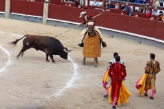 Tauromaquia-Picadores-Gallery13