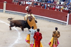 Tauromaquia-Picadores-Gallery14