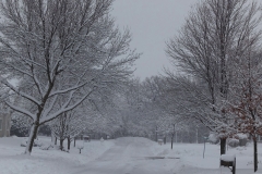 BiCRoads02