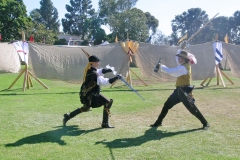 SwordFight04