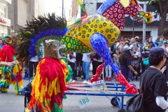 DyCdAMGallery15-scaled