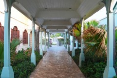 CovidPanicGallery06