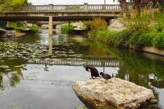 RiverwalkGallery08