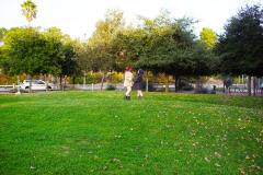 MSPlayingInTheFieldGallery11