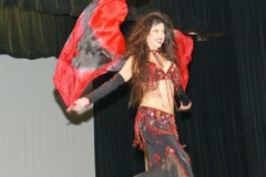 BDVeilGallery05