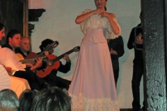 FlamencoGallery02
