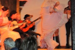 FlamencoGallery03