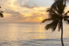 BarbadosOurPlaceGallery11