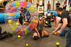 IML2023_PetsGallery08