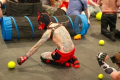 IML2023_PetsGallery12