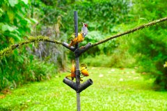 LaFortunaBirdsGallery01