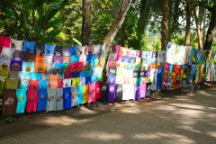 OjochalDominicalGallery03