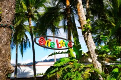 OjochalDominicalGallery04