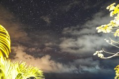 OjochalStarsGallery01