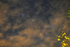 OjochalStarsGallery03