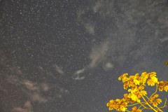 OjochalStarsGallery04