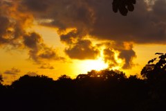 OjochalSunsetGallery08