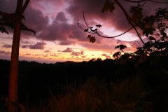 OjochalSunsetGallery09