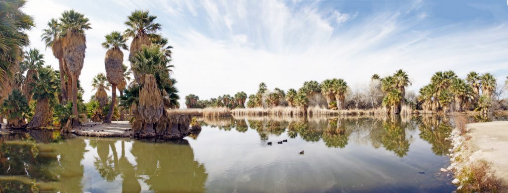 A panoramic view of Agua Caliente Park.