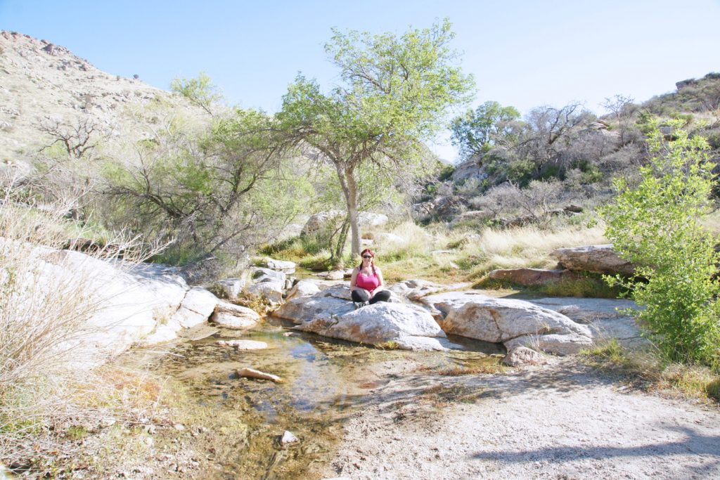 Relaxing on an island in Arizona.