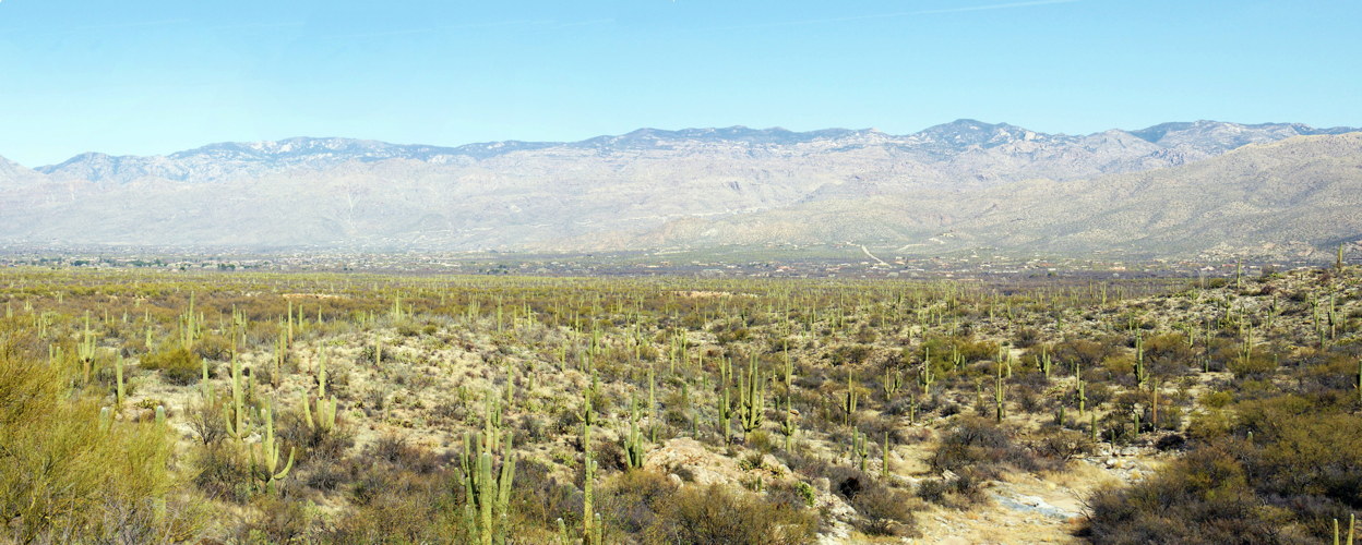 Arizona Road Trip