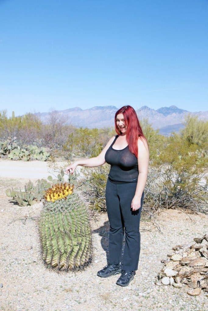 A fishhook barrel cactus with fruit.