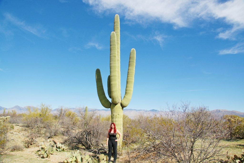 Saguaro cactus, when fully hydrated, can weigh up to 4800 pounds.