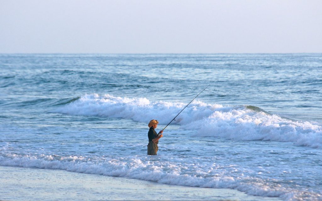 Fish in the surf