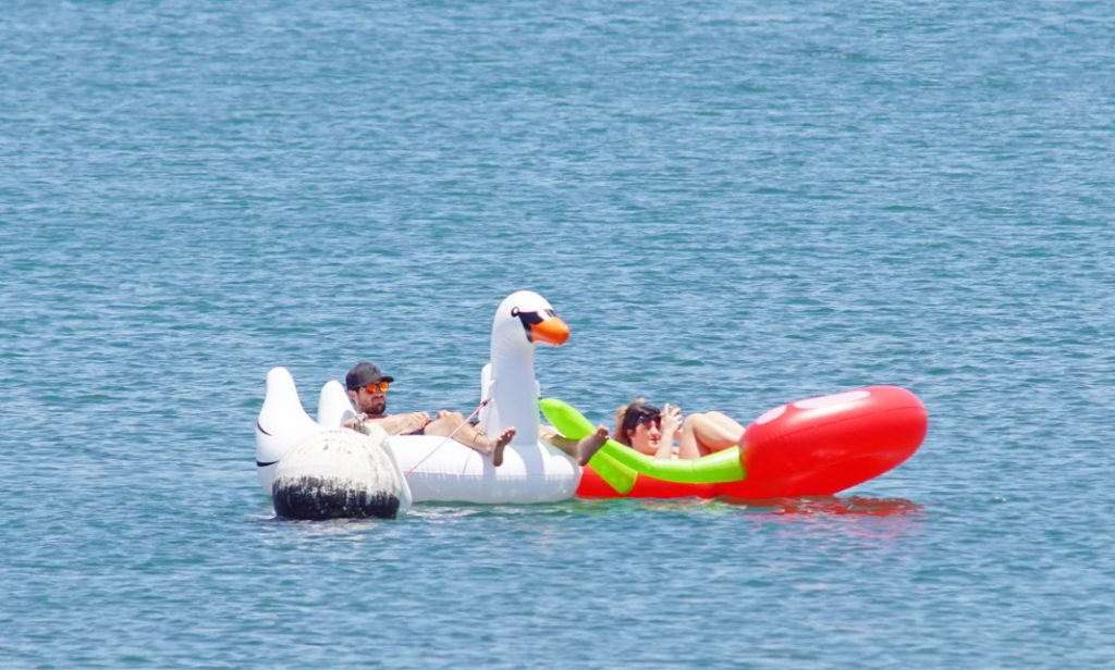 Float in a swan.
