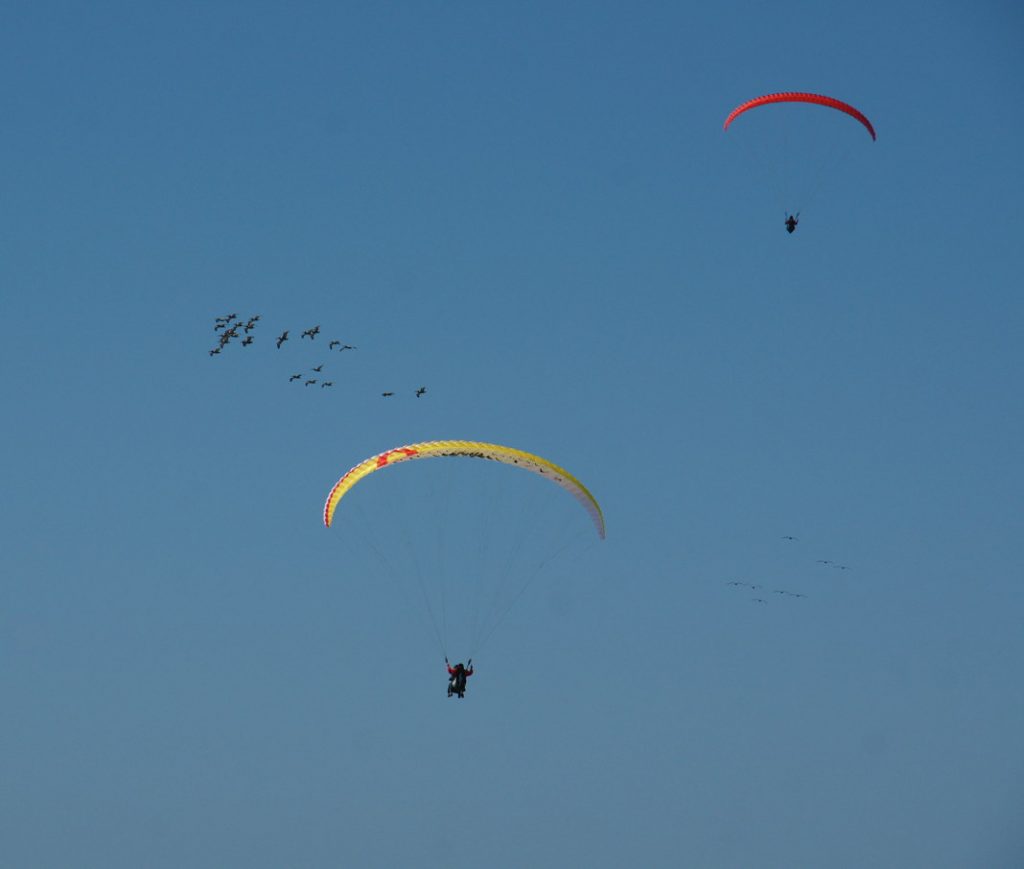 Fly a paraglider.