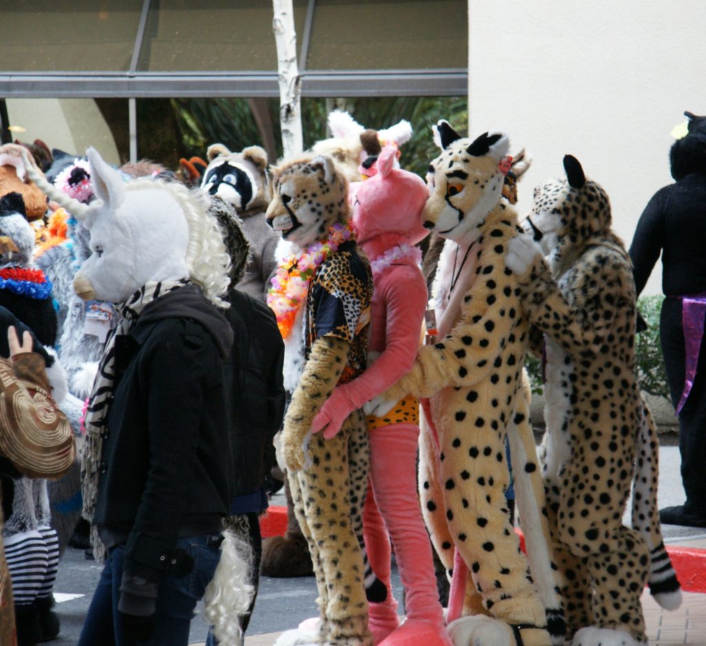 A kitty cat conga line forms because, why not?