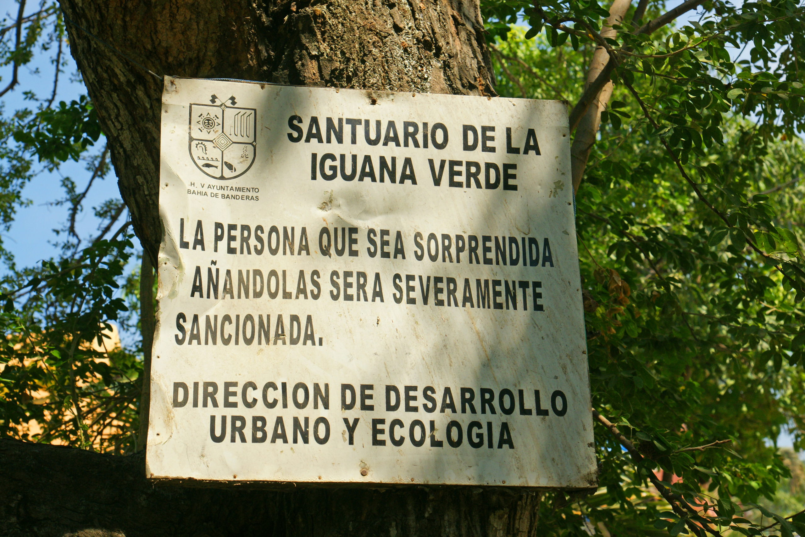 Santuario de la Iguana Verde.