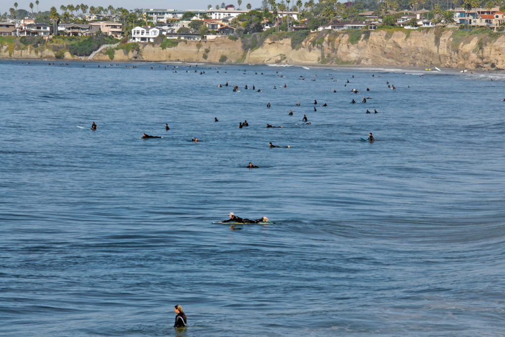 Surfers lined up, waiting for the perfect wave.
