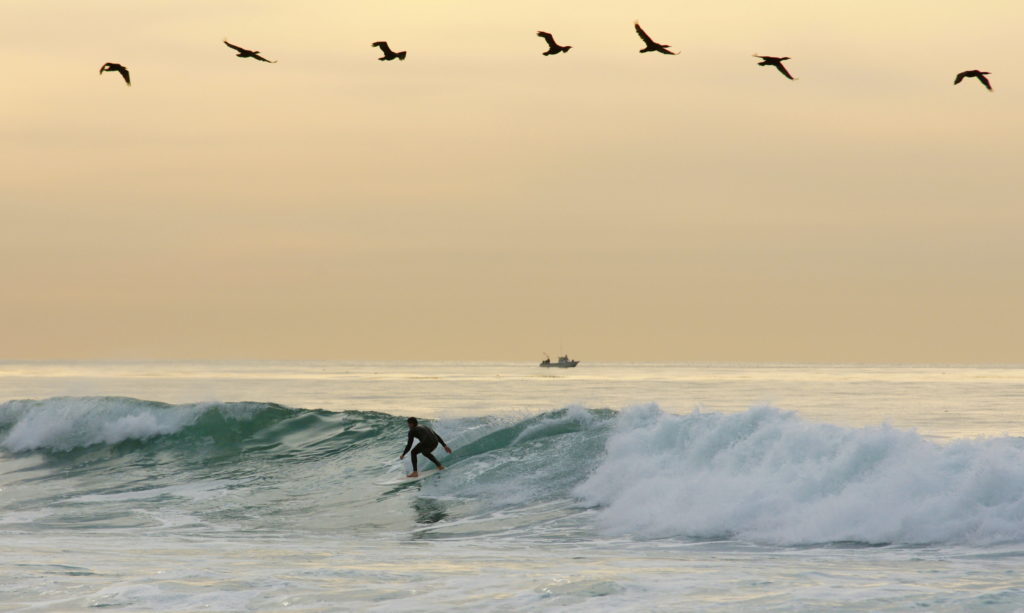 A picture-perfect day on the ocean.