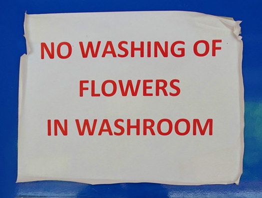And just where am I supposed to wash my flowers?