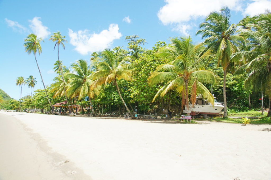 One of the beautiful beaches of Dominica.