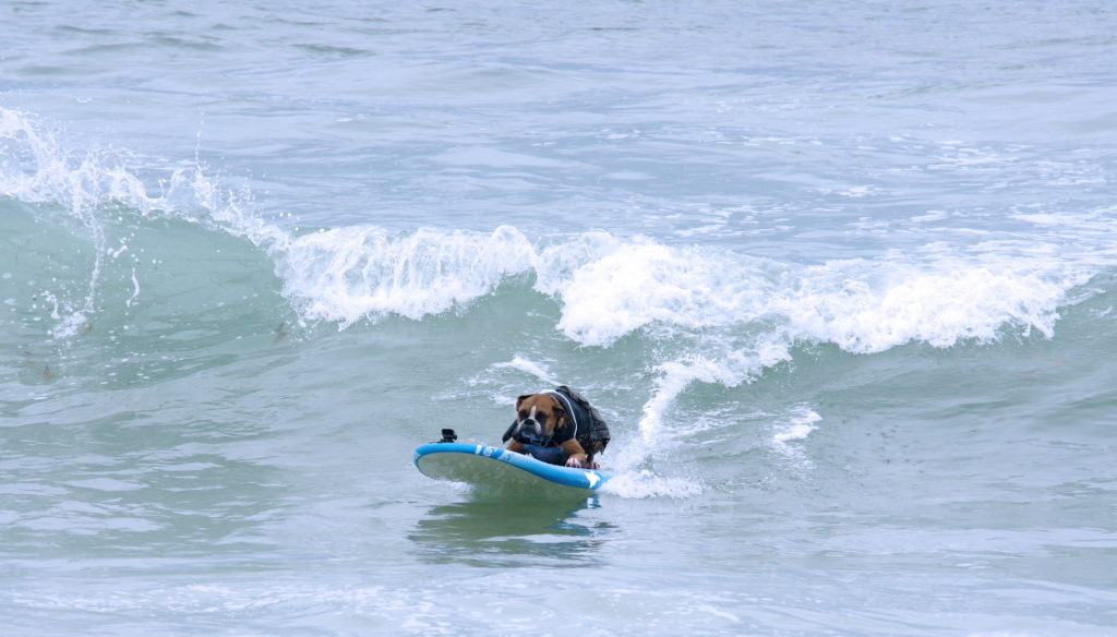 That's some serious shredding.