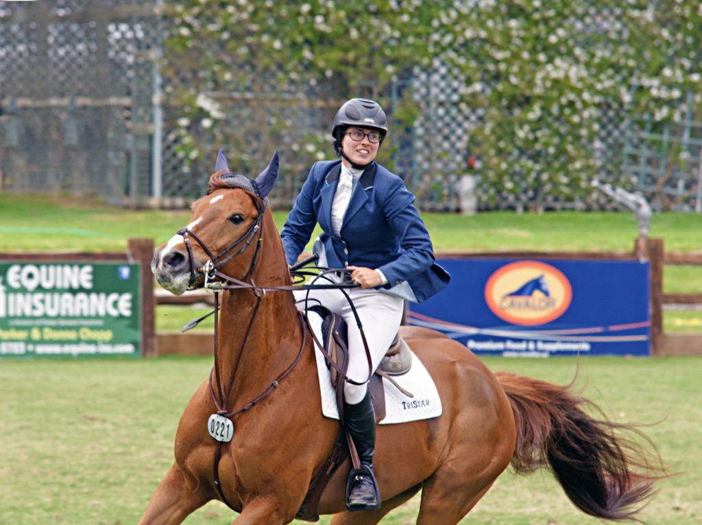 Notice the Figure Eight noseband, one of more popular nosebands used by jumpers.